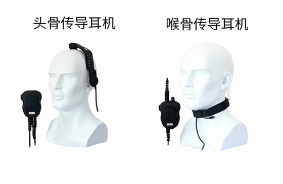 头骨喉骨传导.jpg 头骨喉骨传导.jpg