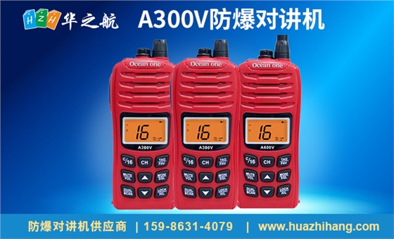 A300V防爆对讲机