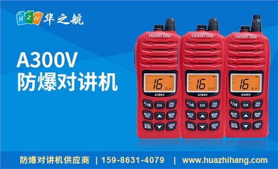 A300V A300V
