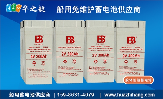 蓄电池1 蓄电池1