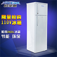 冰箱 冰箱