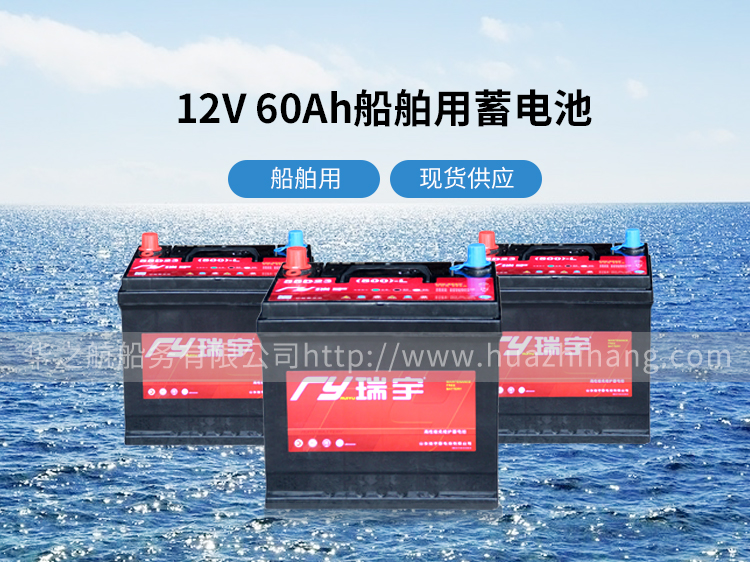 瑞宇12V60Ah_01.jpg