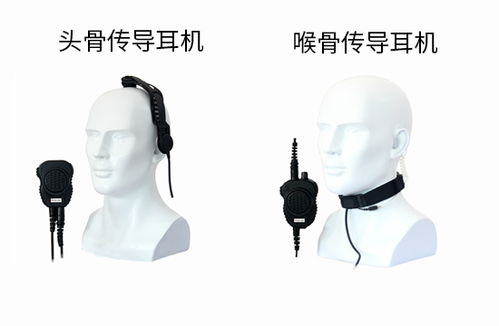 头骨喉骨传导.jpg