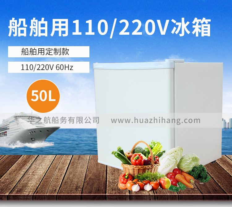 110V/220V60Hz冰箱50L