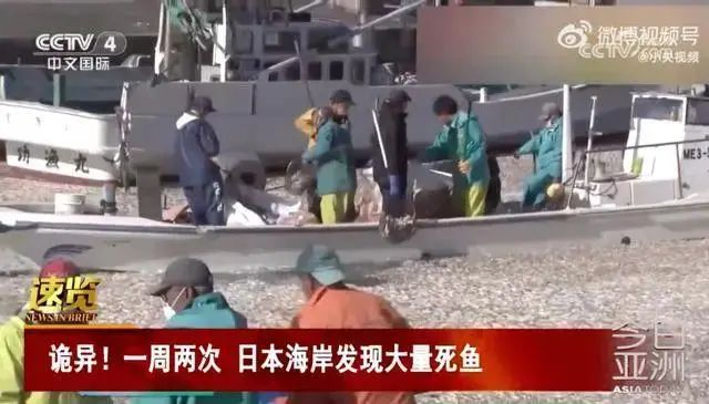 核污水.png 核污水.png